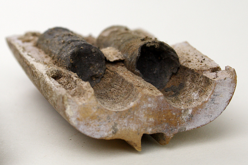 Content_omes000010_4