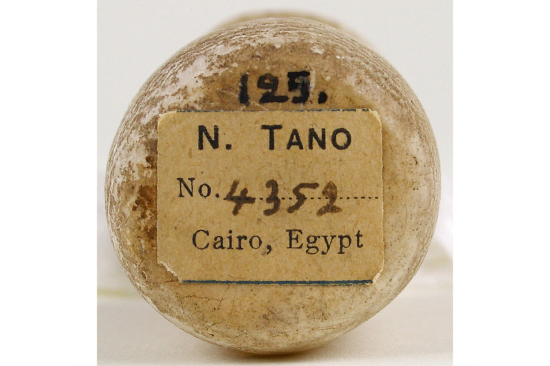 Content_omes000125_3